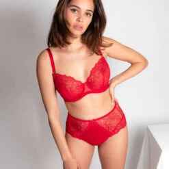 Culotte Haute Dita Von Teese Fiamma -Vêtements Soldes culotte dita von teese fiamma rouge 4