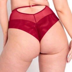 Culotte Haute Scantilly Fallen Angel -Vêtements Soldes culotte scantilly fallen angel framboise 3
