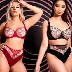 Culotte Haute Scantilly Fallen Angel -Vêtements Soldes culotte scantilly fallen angel framboise 5