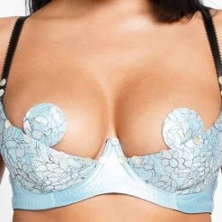 Nippies En Dentelle Edge O' Beyond Vanessa