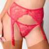 Porte-jarretelles En Dentelle Agent Provocateur Bernie