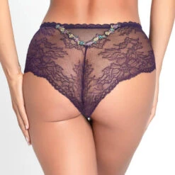 Shorty En Dentelle Lise Charmel Dentelle Cashmer -Vêtements Soldes shorty lise charmel dentelle cashmer multicolore 4