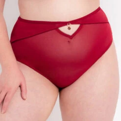 Tanga Taille Haute Scantilly Unchained